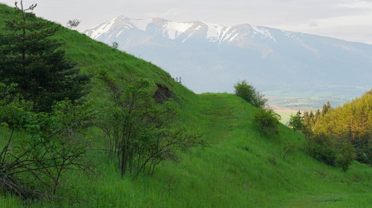 Ski House Jursport Zavazna Poruba Экстерьер фото
